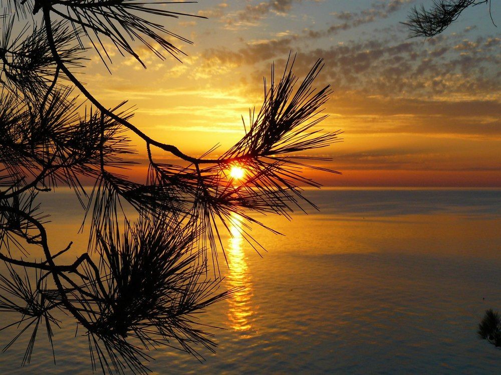 Photograph by Александра Мироненко