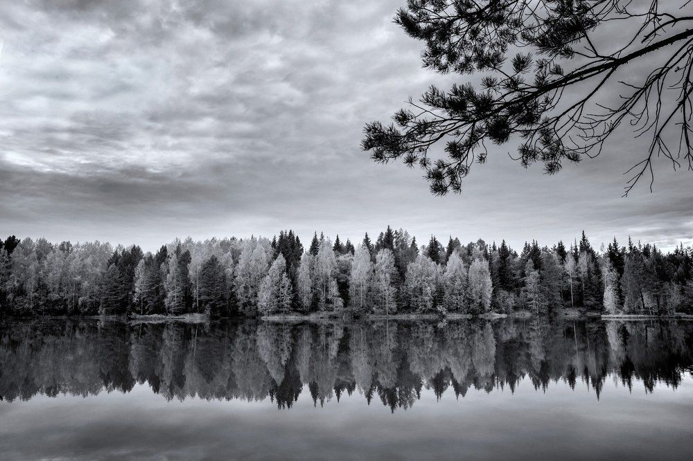 Природная гармония