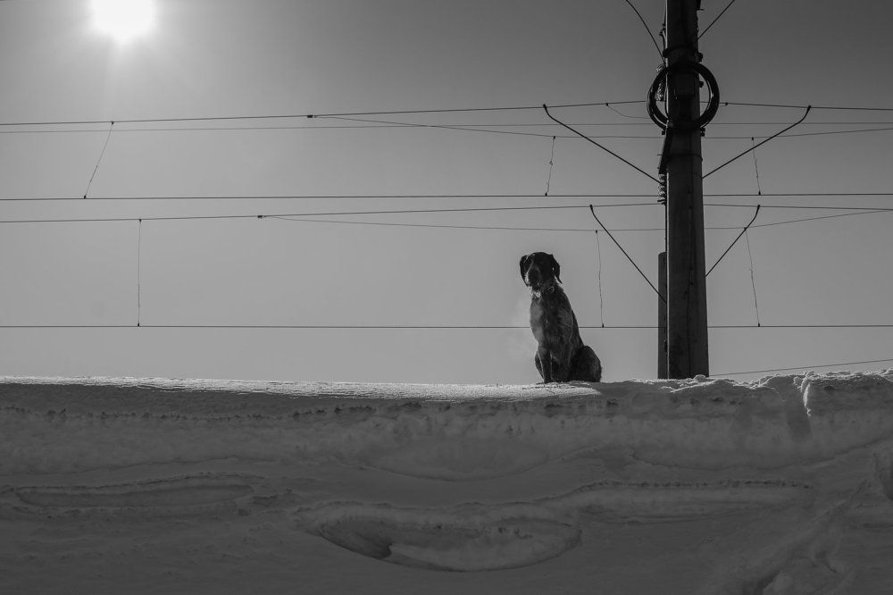 Вокзал для одного