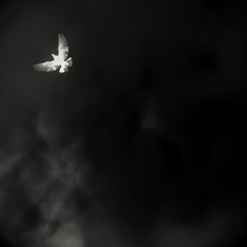 Flying Vow