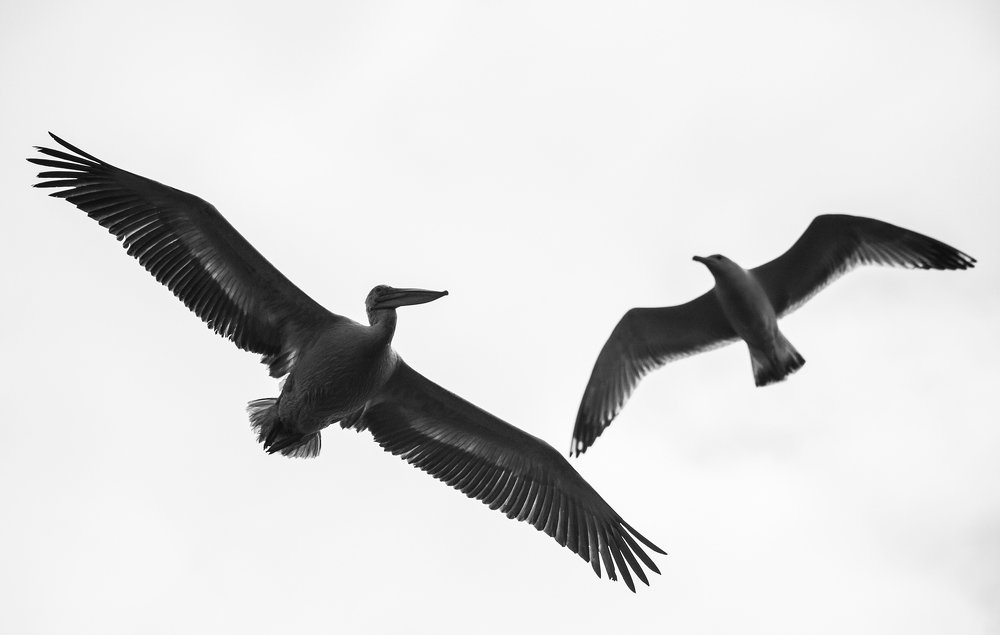 Двое в небе