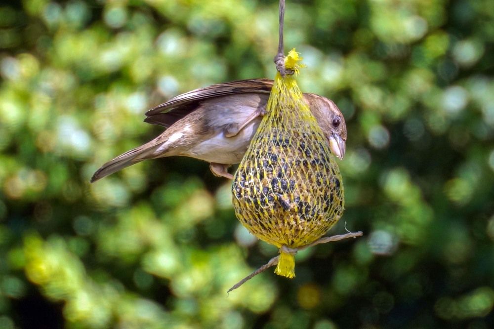 Это все мое!