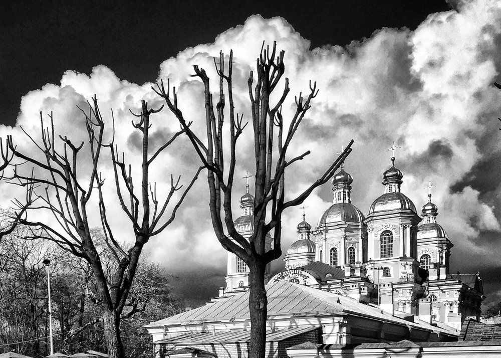 Силуэты памяти