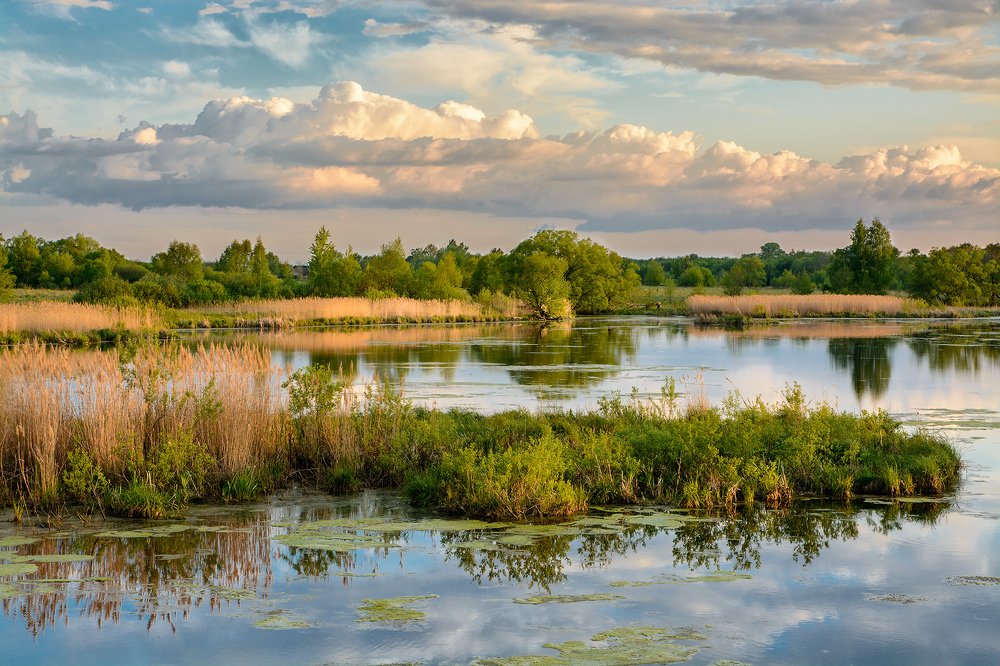 За час до заката