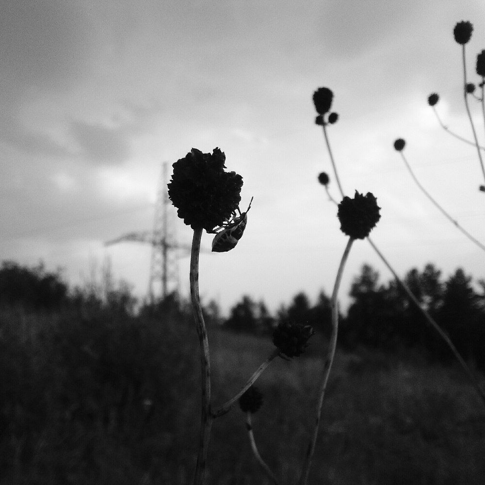 Photograph by Юрий Ефремов