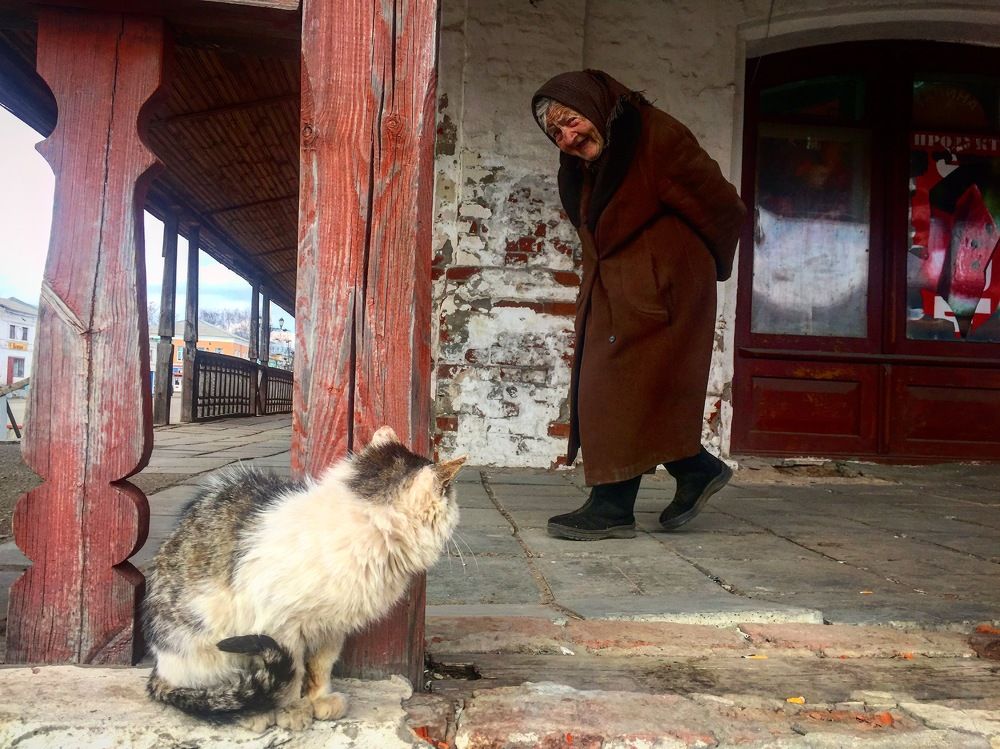 Человек и кошка