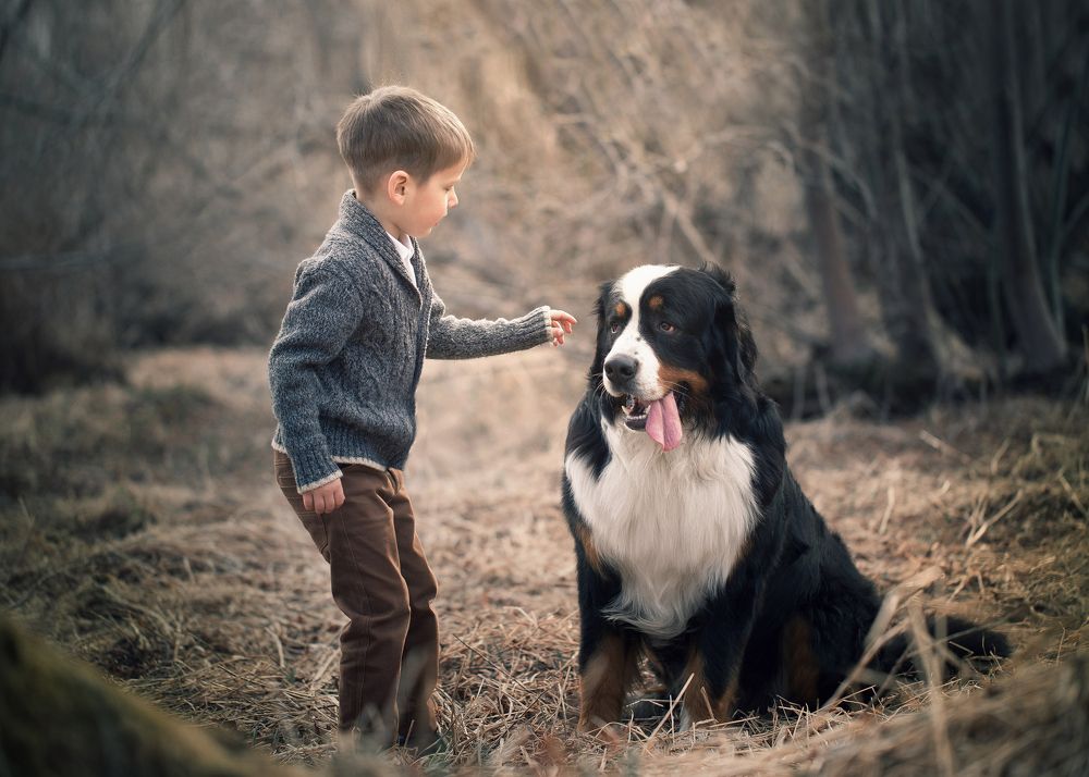 Можно тебя погладить?