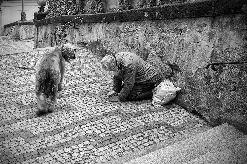 Принц и нищий