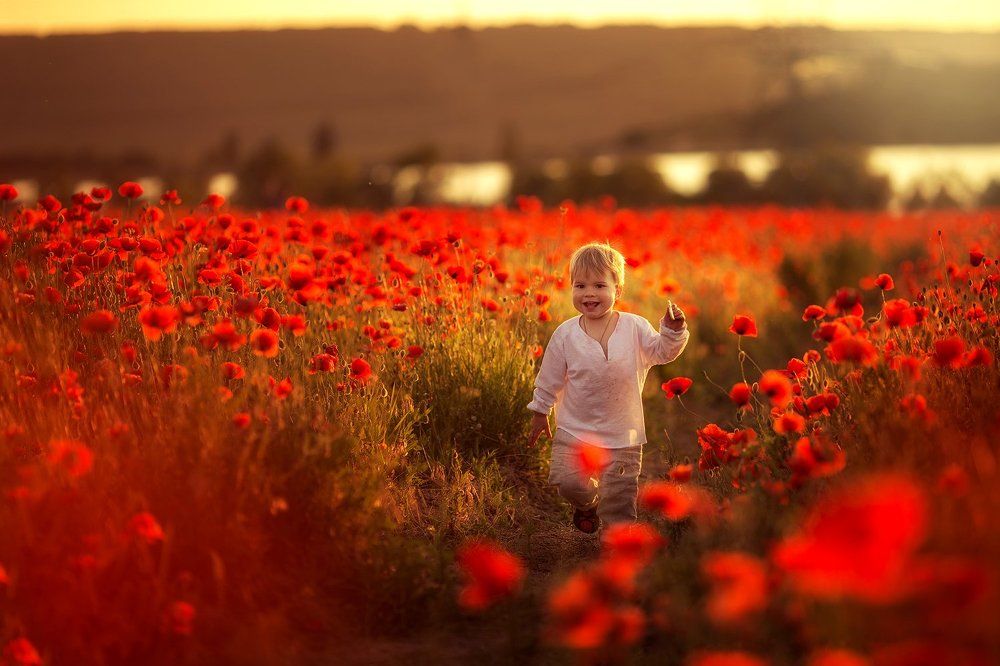 Алая сказка