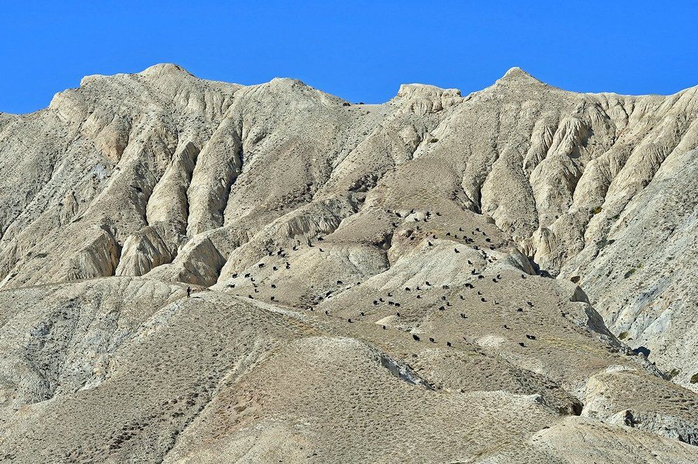 Himalayan Desert