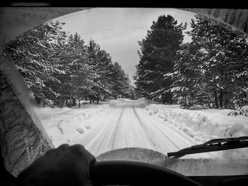 Лесная сказка