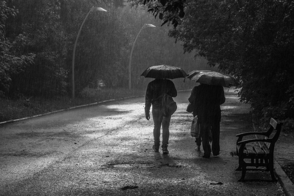 прогулка под дождём