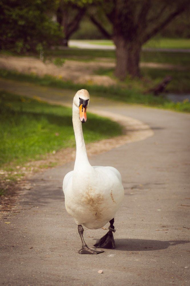 На прогулке..