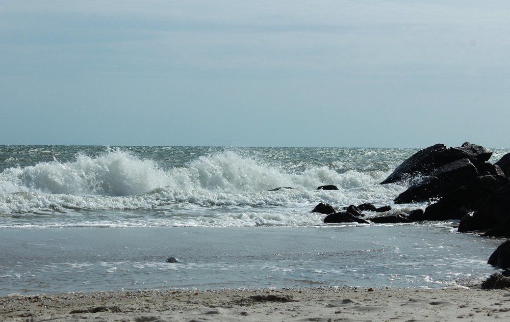 Photograph by Мойсевич Олеся