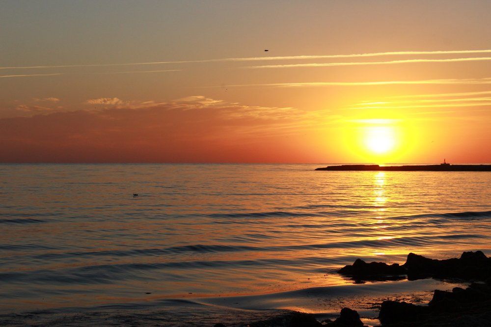 Photograph by Мойсевич Олеся