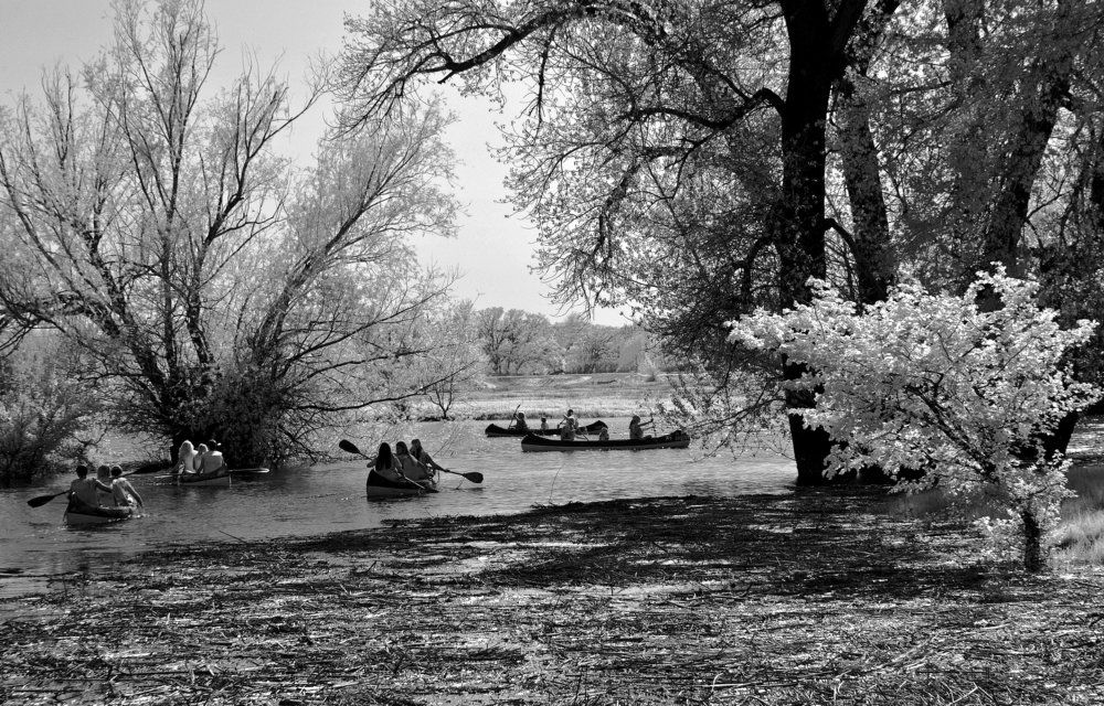 Пойменные будни...