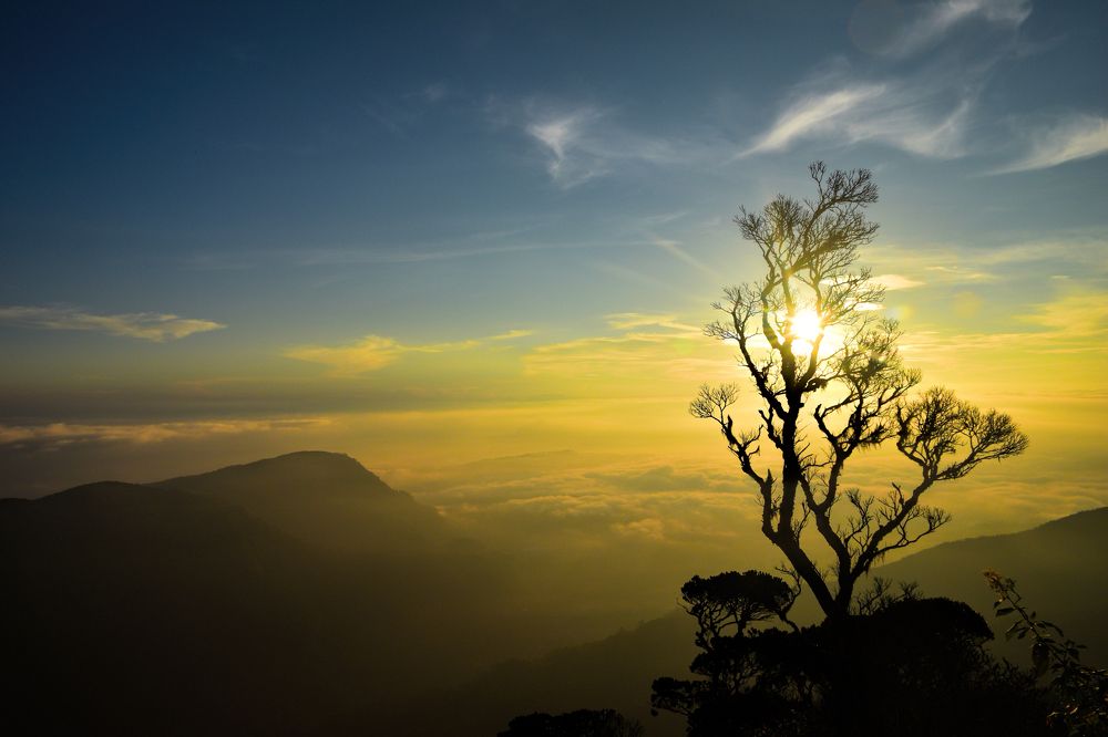 sunrise from Adam's Peak