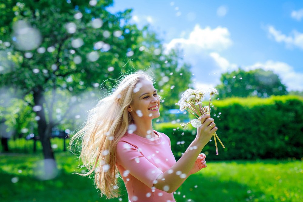 Одуванчики