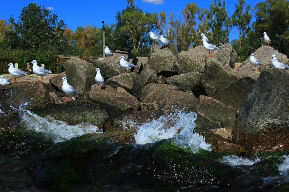 Photograph by Мойсевич Олеся