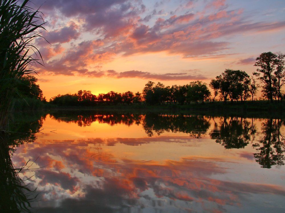 Ростовские закаты.