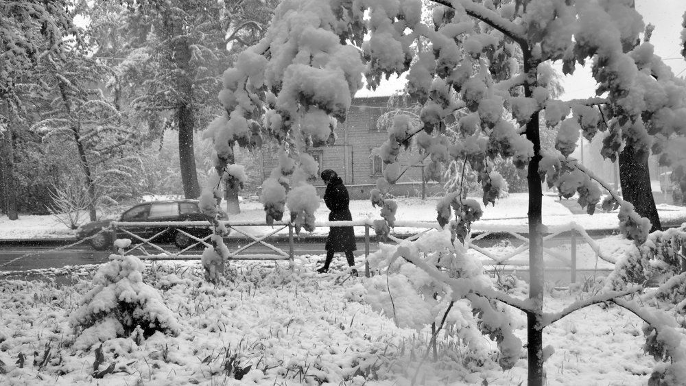 Снегопад в Академгородке