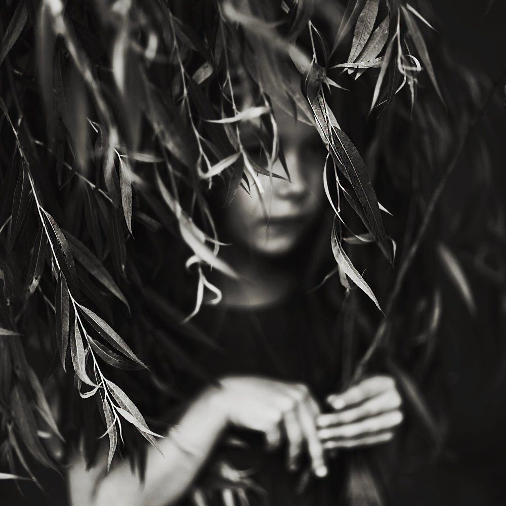 Photograph by Kap Lena