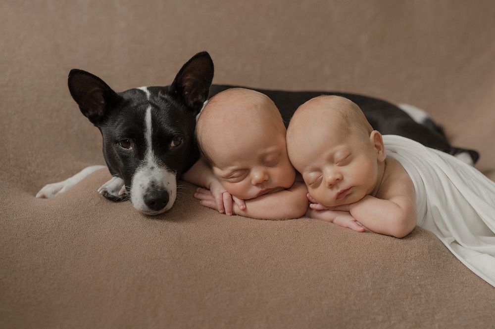 Лучший друг