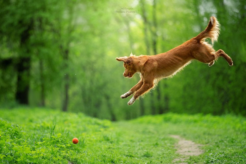 Мягкой посадки:)))