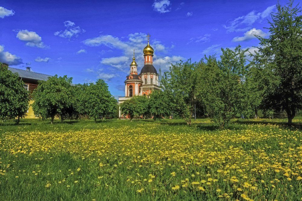 теплый день