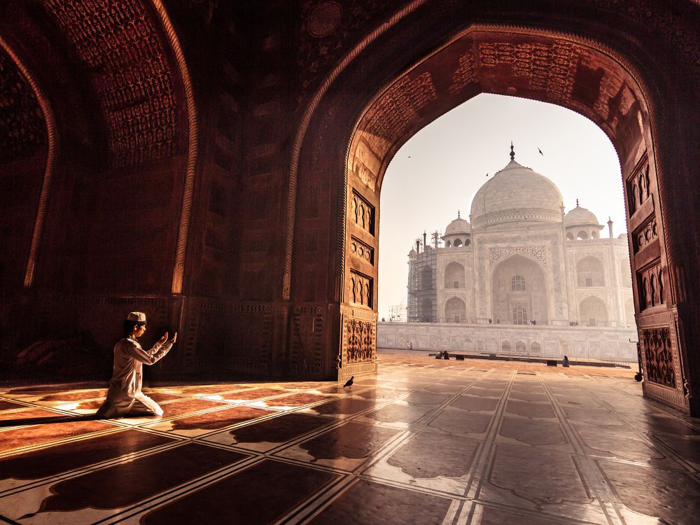 Taj Mornings