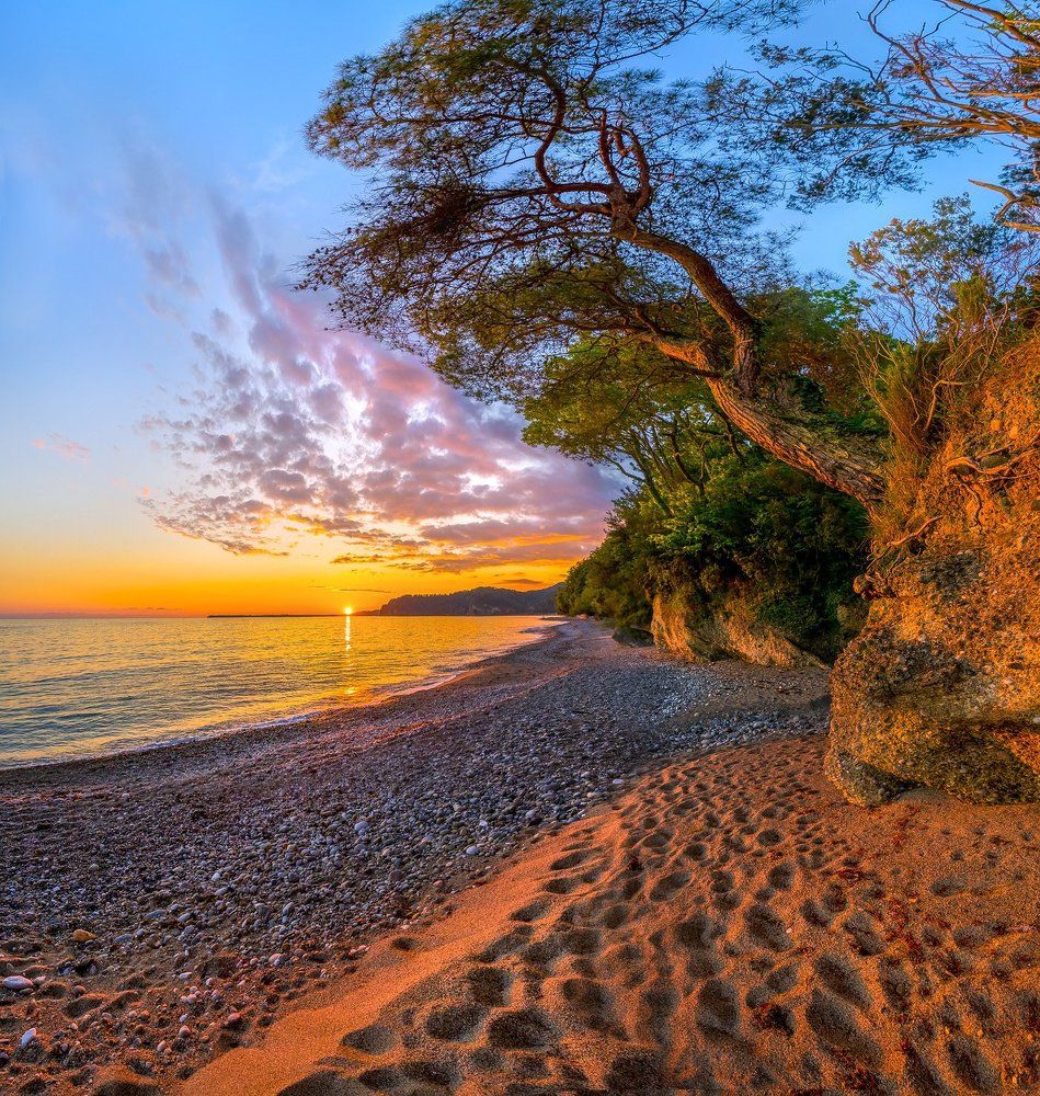 Пляж и сосна.