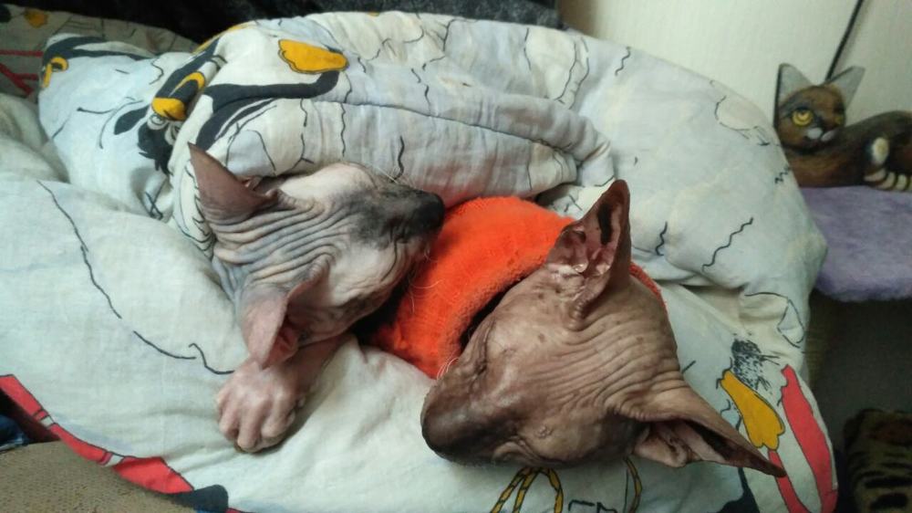 Это Любовь...