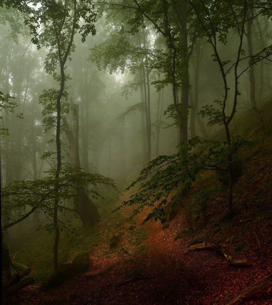 Фотография автора Владимир Метцгер