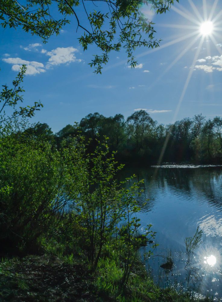 Солнышко лучистое.