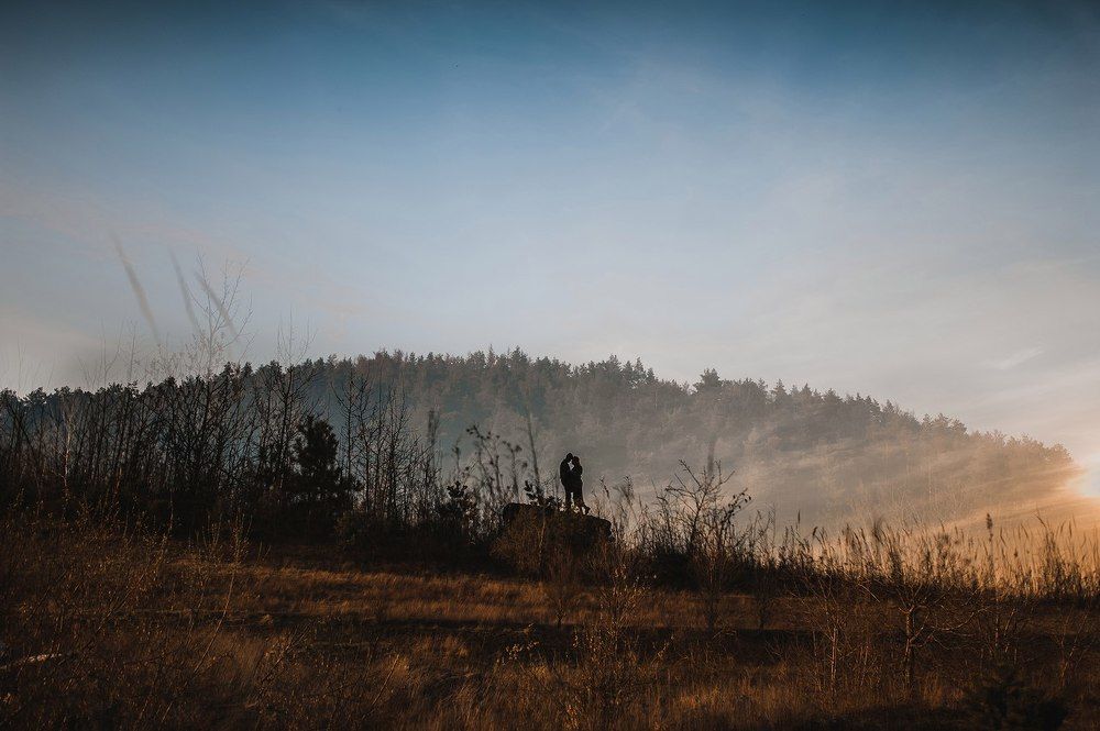 Where dreams may come