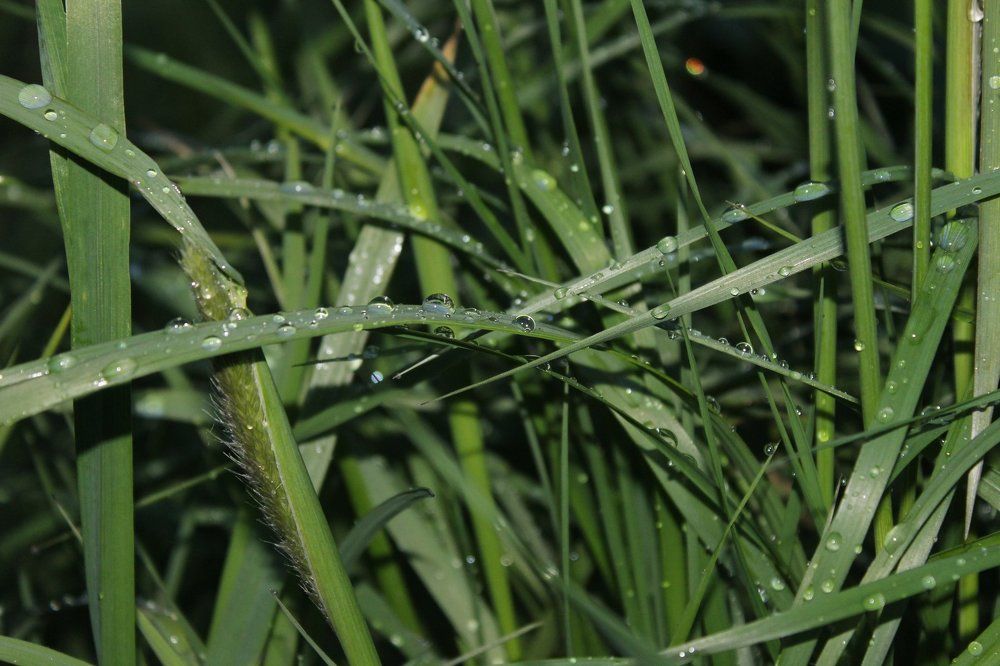 И в дождливый день.