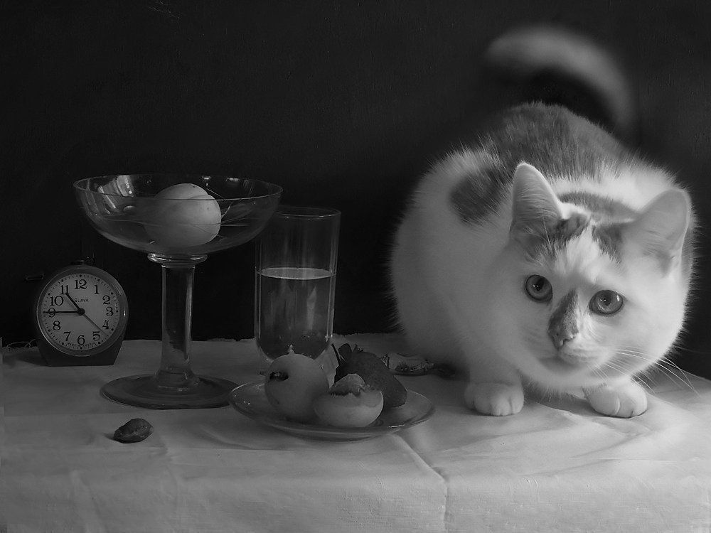 А обещали рыбу...