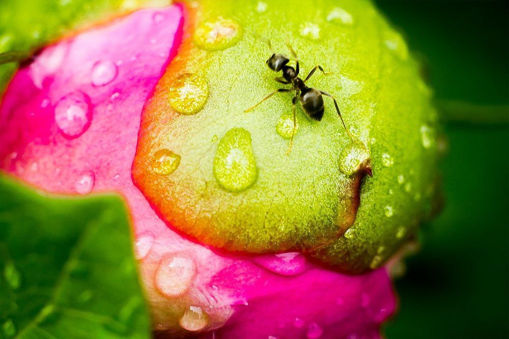 Photograph by Vadim Antipov