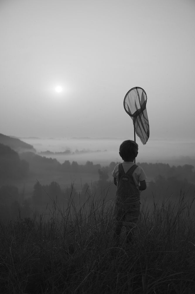 Morning dreams Catcher