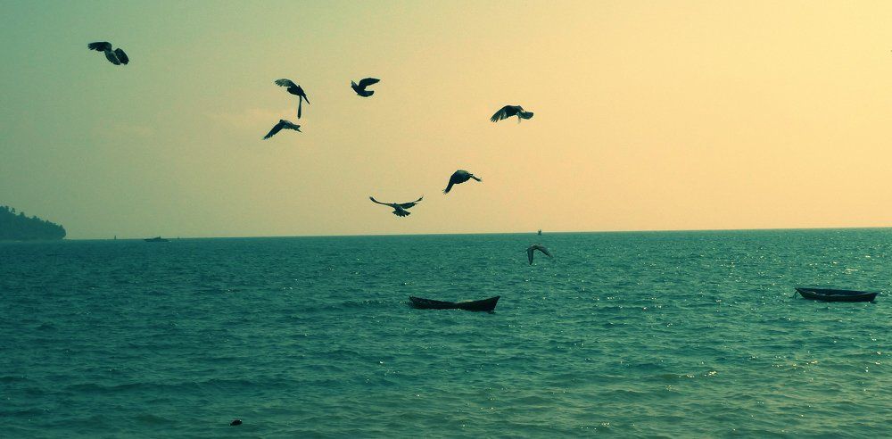 Freedom!!