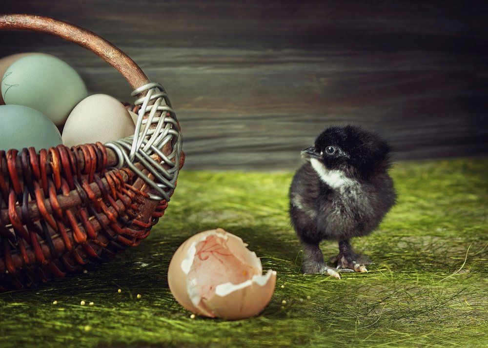 Один в целом мире