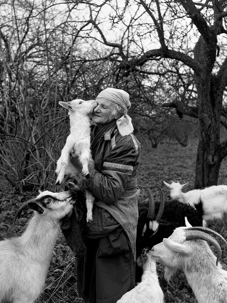 В монастырском саду