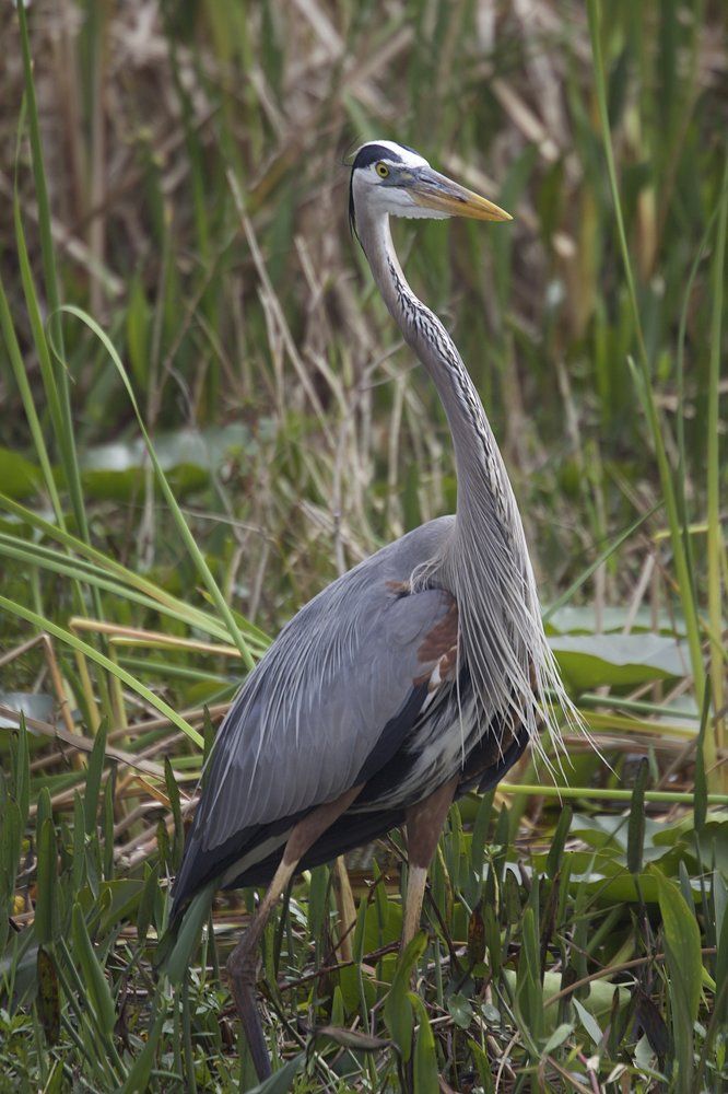 Photograph by Ekaterina