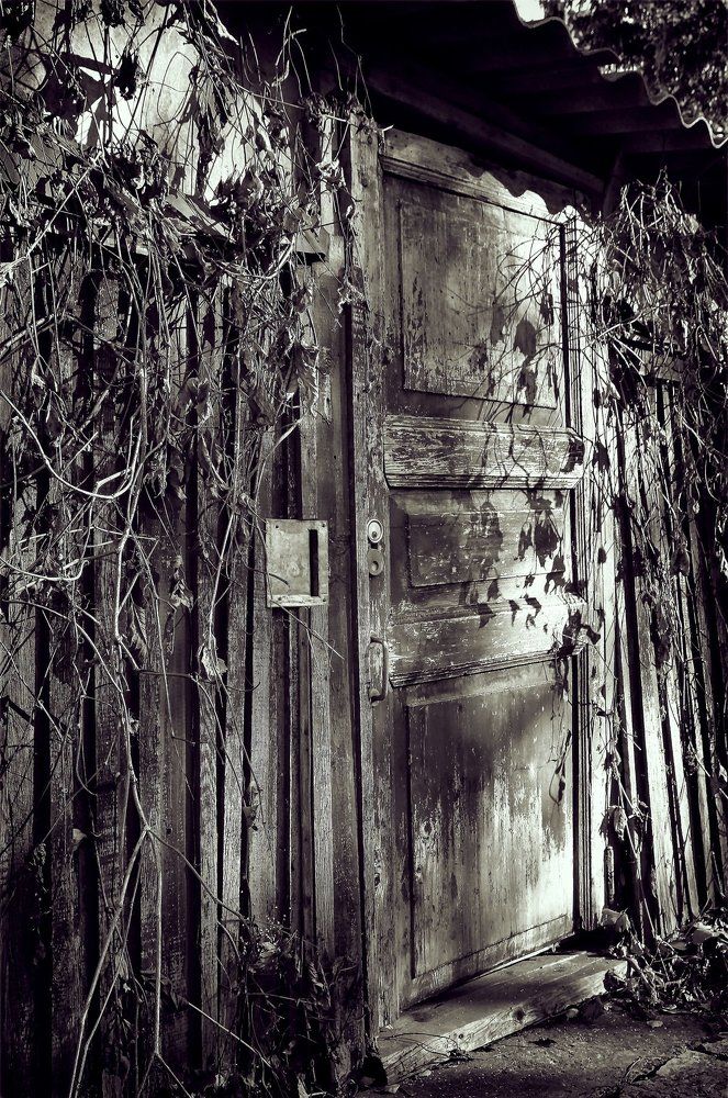 Таинственная дверь в заброшенный сад