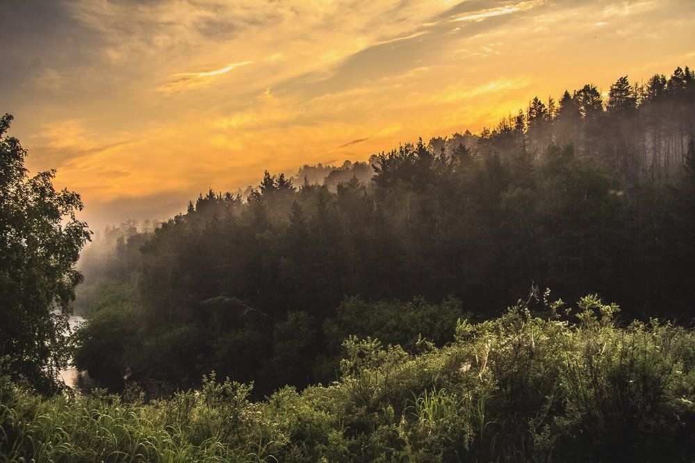 Туман на рассвете