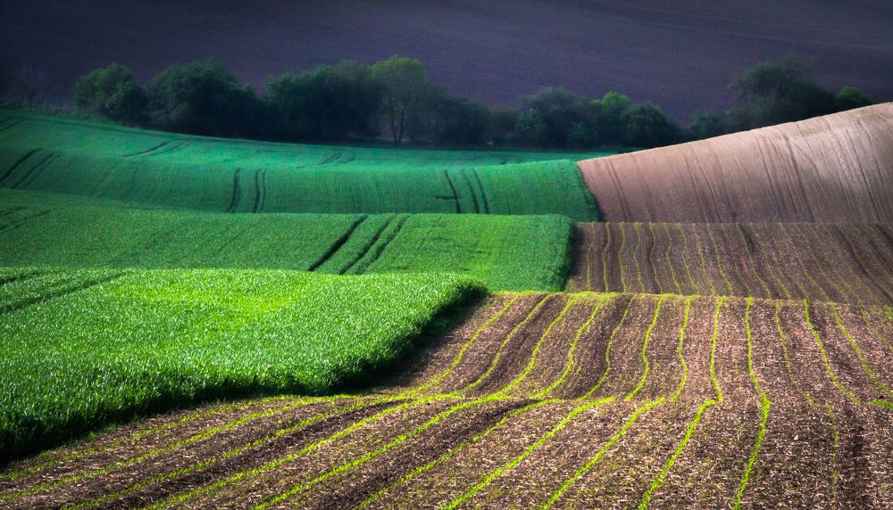 Ткань Земли