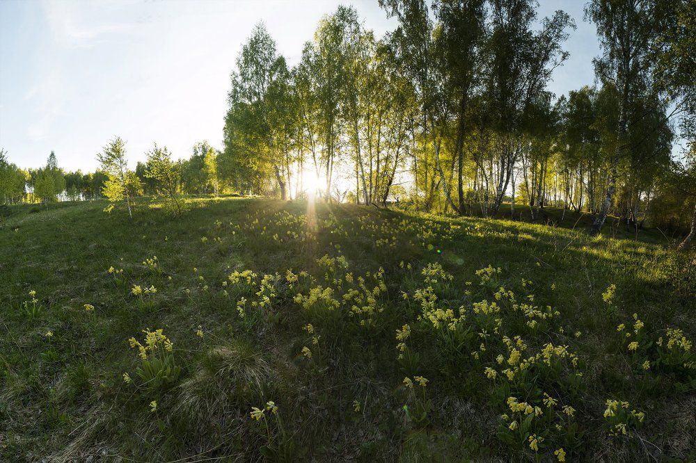 Последние лучи весеннего солнца