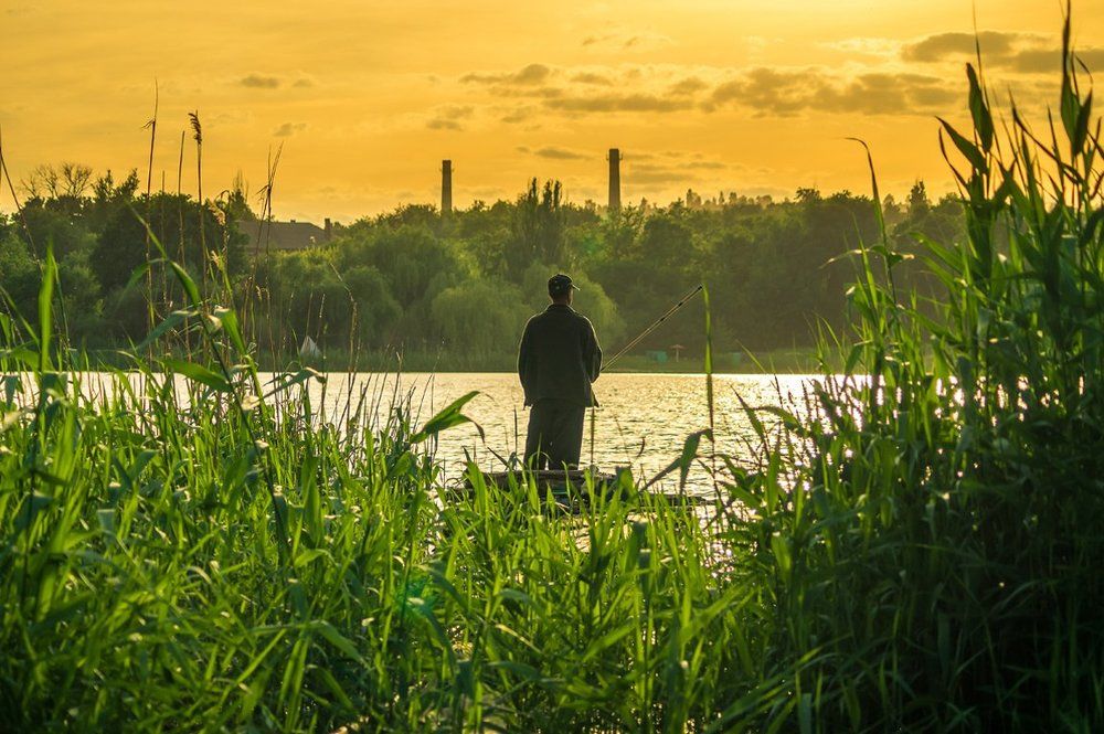 Вечернаяя рыбалка