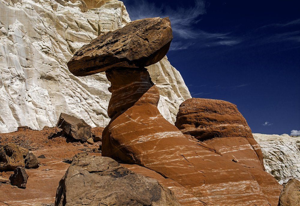 Каменный гриб