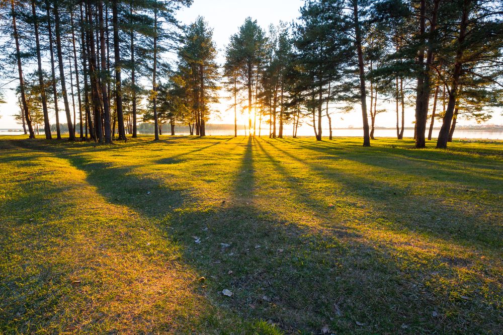 Photograph by Леонид